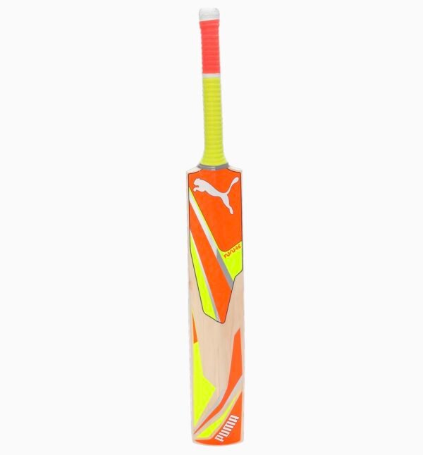 Puma Future 5.0 English Willow Cricket Bat